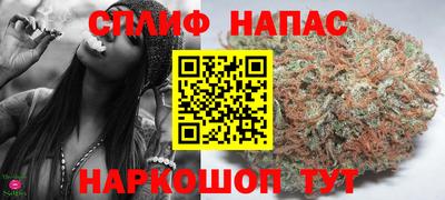 гидра Старая Купавна