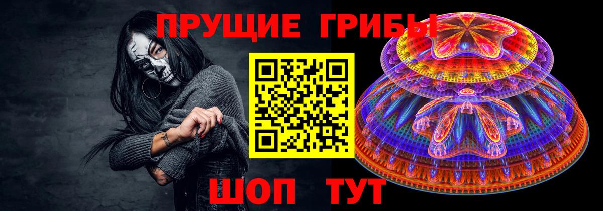 Михайловск  Псилоцибиновые грибы GOLDEN TEACHER  Вход с VPN  Галлюциногенные грибы Cubensis 